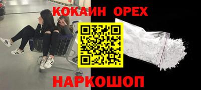 apvp Свободный