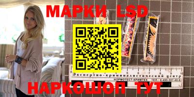 apvp Свободный