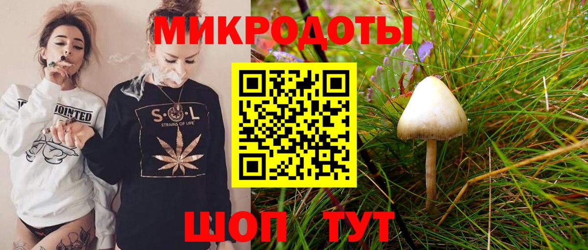 Галлюциногенные грибы мицелий  Вход с VPN  Норильск  Галлюциногенные грибы GOLDEN TEACHER 