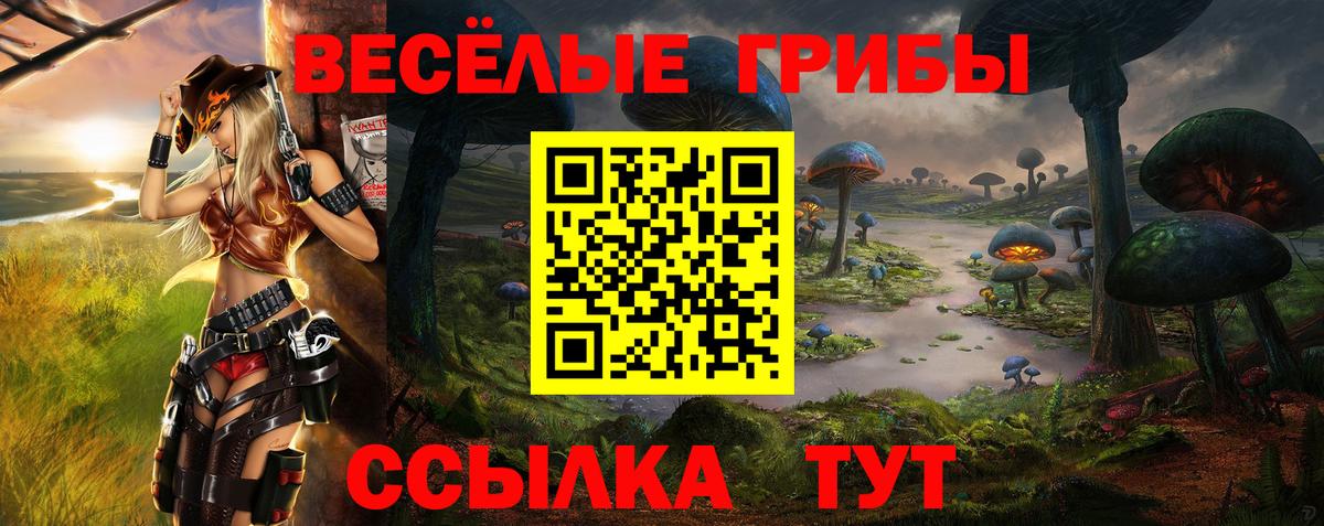 Галлюциногенные грибы MAGIC MUSHROOMS Норильск